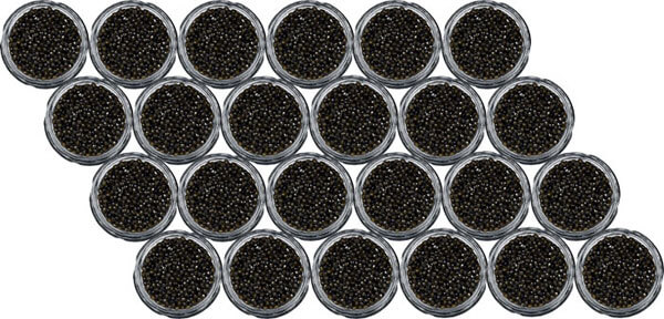 Caviale Beluga 2712g Caviale Beluga 2712g
