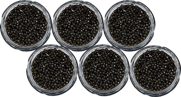 Caviale Beluga 678g Caviale Beluga 678g