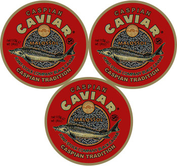 Caviale Sevruga 339g