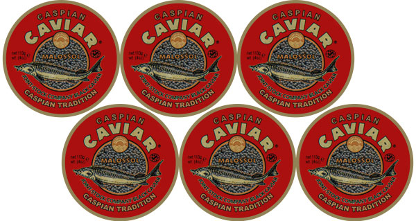 Caviale Sevruga 678g Caviale Sevruga 678g